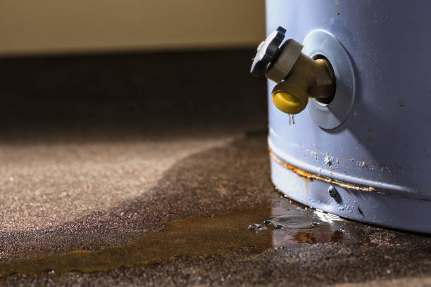 Best 24/7 water damage repair  in Del Norte, CO