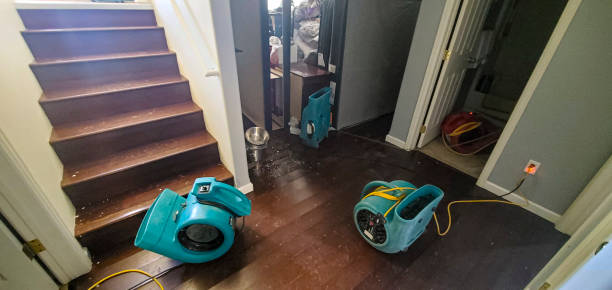 Best Residential water damage restoration  in Del Norte, CO