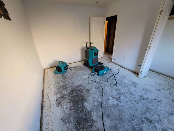 Best Water damage restoration specialists  in Del Norte, CO