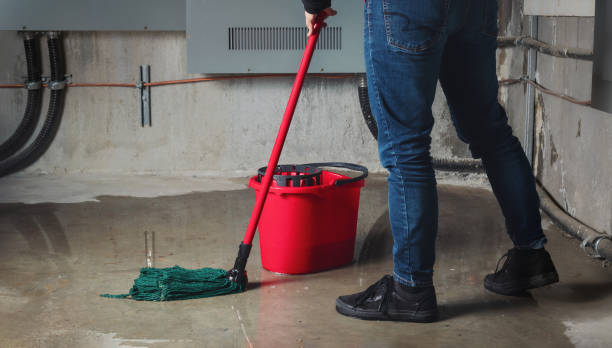 Best Flood damage cleanup  in Del Norte, CO