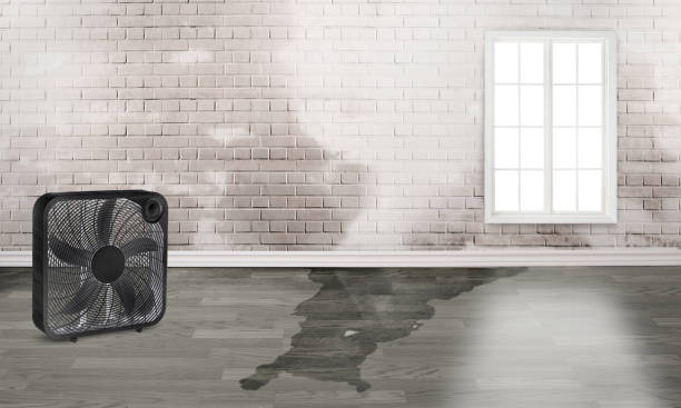 Best Flood restoration services  in Del Norte, CO