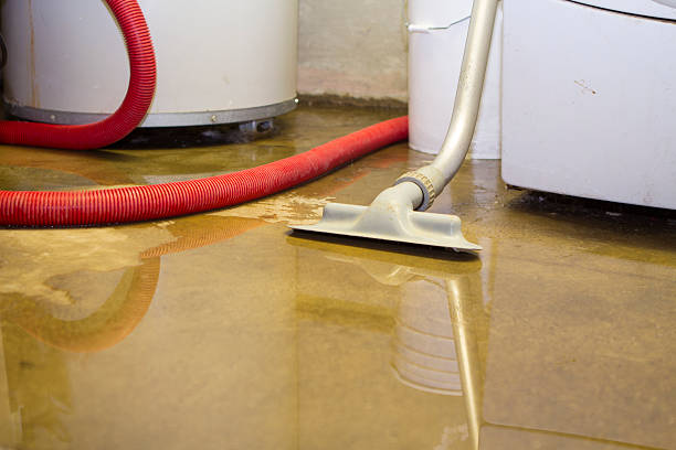 Best Local water damage restoration  in Del Norte, CO