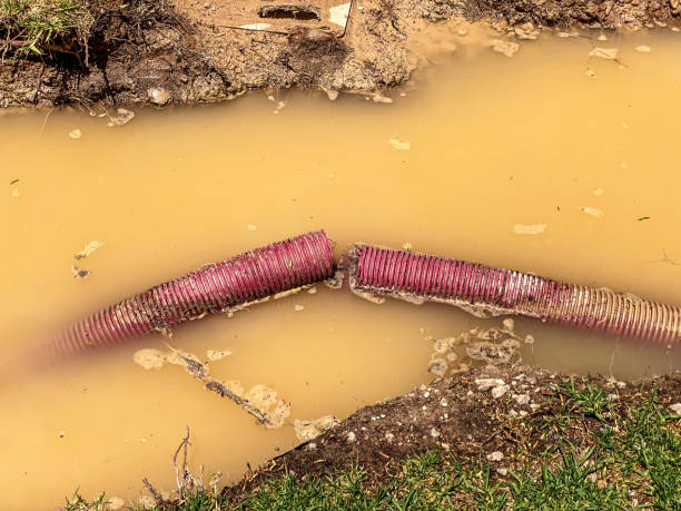 Best Local water damage restoration  in Del Norte, CO
